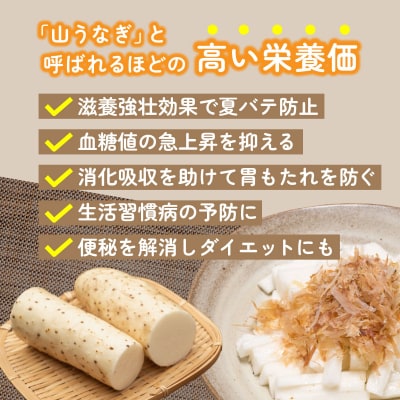 青森県産 ネバリスター スティック(80g×5個)&とろろ(50g×5個)セット