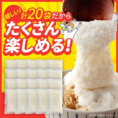ネバリスター 冷凍とろろ50g×20袋