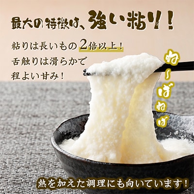 ネバリスター 冷凍とろろ50g×20袋