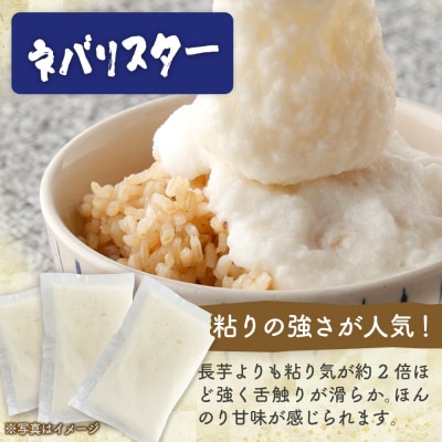 冷凍ネバリスターとろろパック+冷凍長芋とろろパック 各50g×10個【02402-0662】