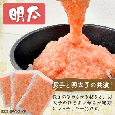 冷凍ネバリスターとろろパック+冷凍長芋とろろパック 4種 各50g×5個【02402-0663】