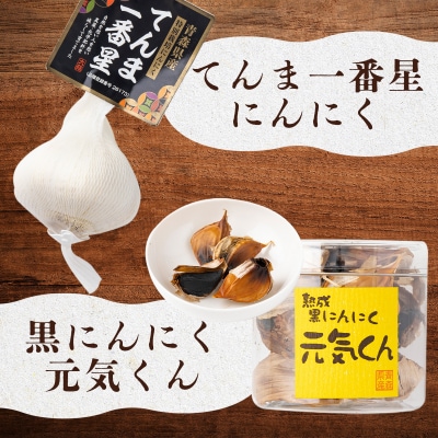 抑臭にんにくギフトセット