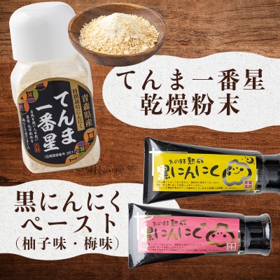 抑臭にんにくギフトセット