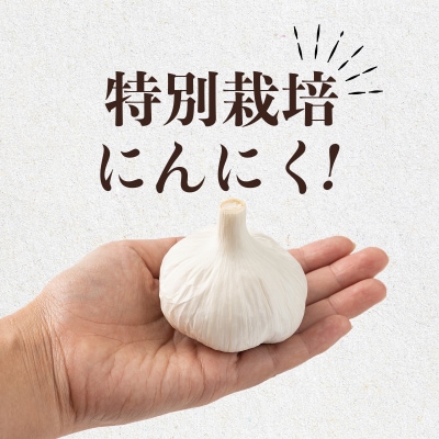 抑臭にんにく ALサイズ2kg