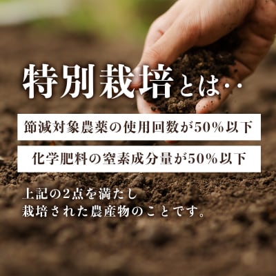 抑臭にんにく ALサイズ2kg