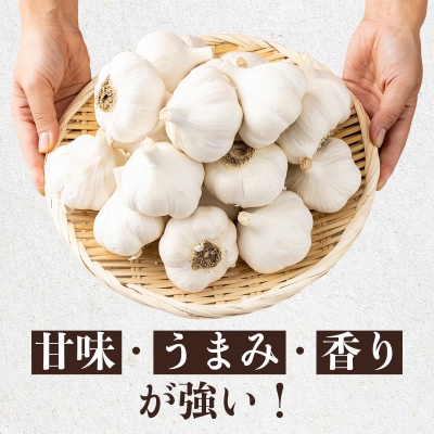 抑臭にんにく ALサイズ2kg