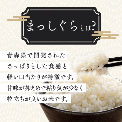 【令和7年産】瀬川農場まっしぐら 精米5kg