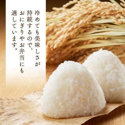 【令和7年産】瀬川農場まっしぐら 精米5kg