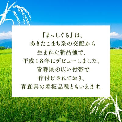 【令和7年産】瀬川農場まっしぐら 精米10kg
