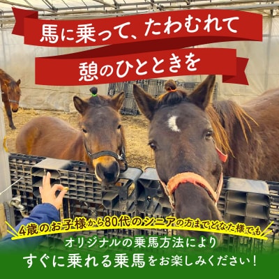 ホースレジャーinしちのへ 30分乗馬体験