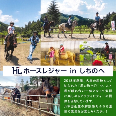 ホースレジャーinしちのへ 30分乗馬体験