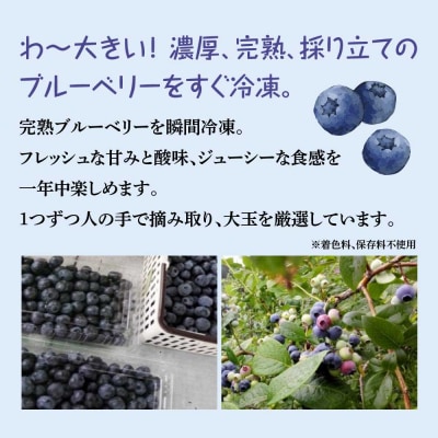 【令和8年度産】そのまま食べられる 冷凍ブルーベリー(300g)3袋セット