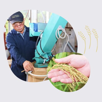 【令和7年産】まっしぐら精米　5kg