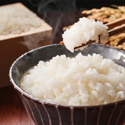 【令和7年産】まっしぐら精米　10kg(5kg×2袋)