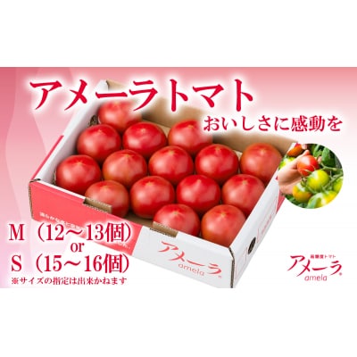 アメーラトマト