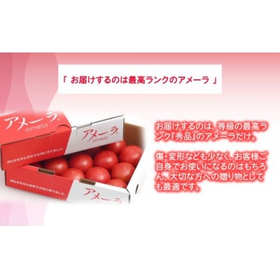 アメーラトマト