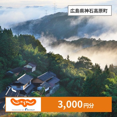 【じゃらんふるさと納税クーポン】 広島県神石高原町でつかえる3,000円 クーポン