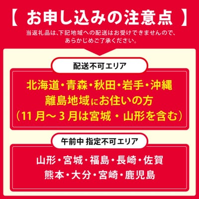柿の葉ずし(鯖24個入り)