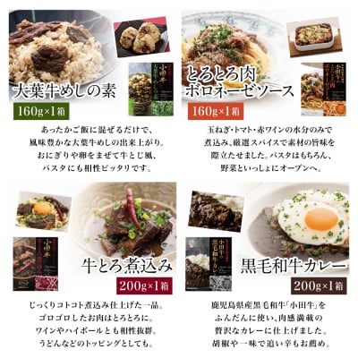 【訳あり】鹿児島県産黒毛和牛「小田牛」 レトルト 4種 惣菜 おかず 常温保存