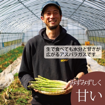 2026年産先行受付　北海道産アスパラガス【AO-002】