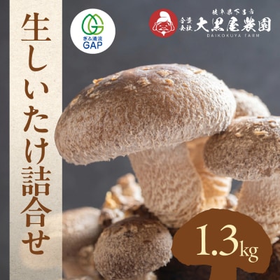  菌床生椎茸  詰め合せセット(4パック+3袋)7品 計1.3kg  生椎茸 しいたけ【119-1】