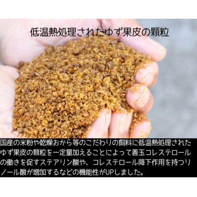 【高知のブランド豚/ゆず豚】甘くて脂さっぱりバラスライス500g　112010