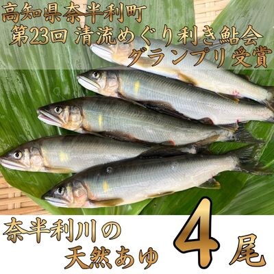 奈半利川の友釣り天然アユ(冷凍)4尾　107001