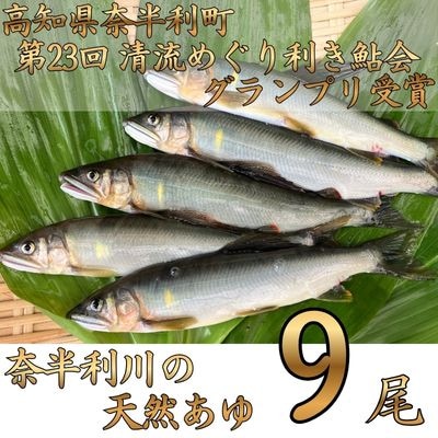 奈半利川の友釣り天然アユ(冷凍)9尾　107002