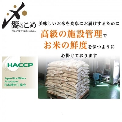 米 令和7年 ひゃくまん穀 精米 5kg [中橋商事 石川県 宝達志水町 38601147] お米