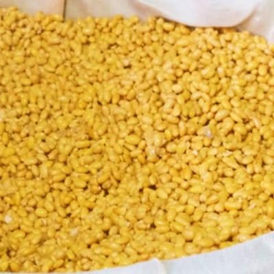 無添加 味噌 たるみ農園の天然醸造仕込み 米味噌 850g×2[No5354-0291]