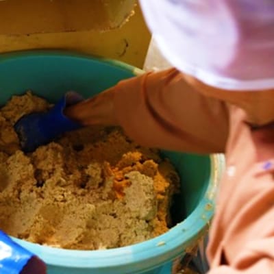 無添加 味噌 たるみ農園の天然醸造仕込み 米味噌 850g×2[No5354-0291]