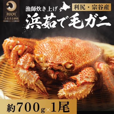【2026年先行受付】利尻・宗谷産 浜茹で毛ガニ 700g前後×1尾(チルド配送)[1060139]