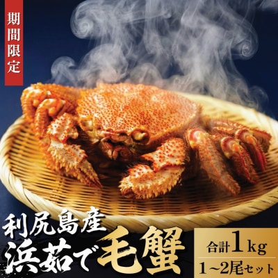 【2026年先行受付】利尻産 浜茹で毛ガニ 合計約1kg(チルド配送)[1060140]