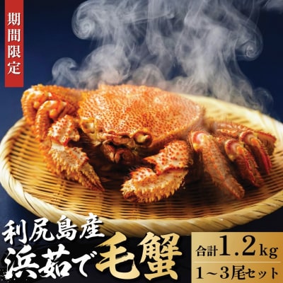 �y2026�N��s��t�z���K�Y �l䥂ŖуK�j ���v��1.2kg(�`���h�z��)[1060141]