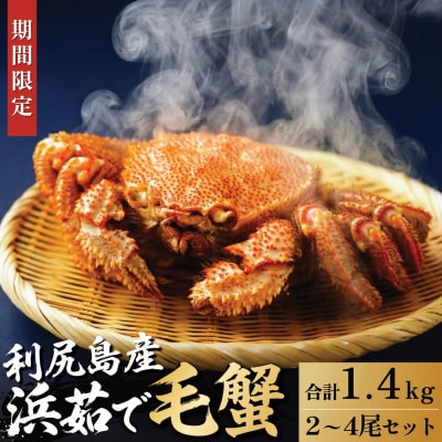 �y2026�N��s��t�z���K�Y �l䥂ŖуK�j ���v��1.4kg(�`���h�z��)[1060142]