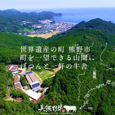 【美熊野牛】切り落とし 400g