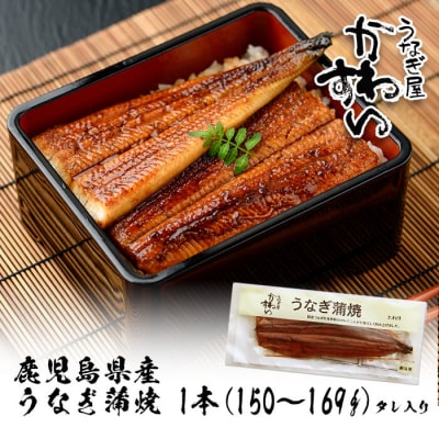 鹿児島県産うなぎ蒲焼(150g×1本)