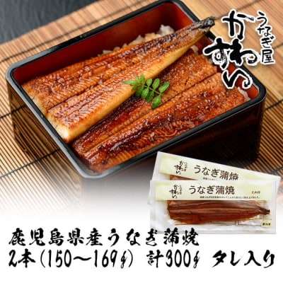 鹿児島県産うなぎ蒲焼(150g×2本)