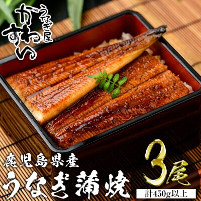 鹿児島県産うなぎ蒲焼(150g×3本)