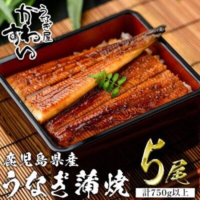 鹿児島県産うなぎ蒲焼(150g×5本)