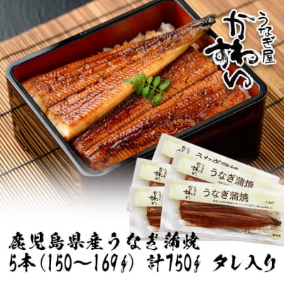 鹿児島県産うなぎ蒲焼(150g×5本)