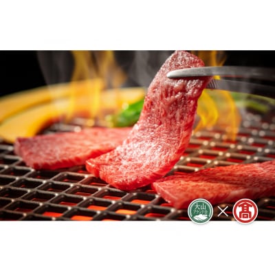 【HANAFUSA】鳥取和牛特選モモ焼肉用(大山ブランド会)