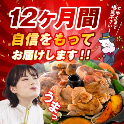【12か月定期便】毎月違うお肉をお届け!王様シリーズバラエティセット 合計約22kg