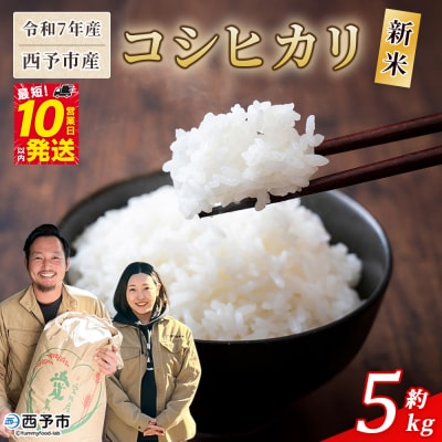 <新米 令和7年産 西予市産 コシヒカリ 約5kg　宇都宮米穀　愛媛県産 