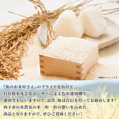 <新米 令和7年産 西予市産 コシヒカリ 約5kg　宇都宮米穀　愛媛県産 