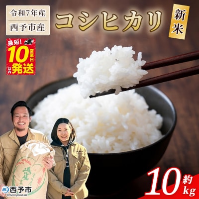 <新米 令和7年産 西予市産 コシヒカリ10kg> 宇都宮米穀 愛媛県産 