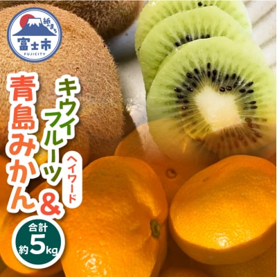 みかん3kg&キウイフルーツ(ヘイワード)2kgの詰め合わせ(1008)
