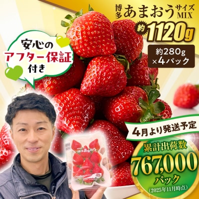 【アフター保証】  4月発送!「博多あまおう」約280g×4パック【JAほたるの里】_HA0526