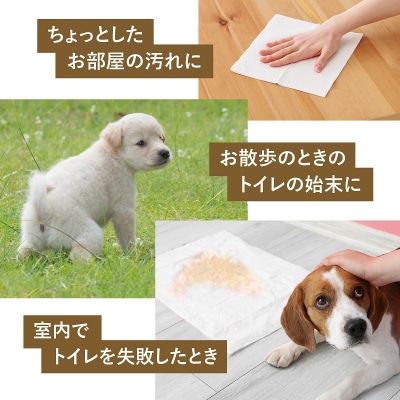 マスコー製紙 ペットのトイレットペーパー ペットめちゃラク 100組×30個