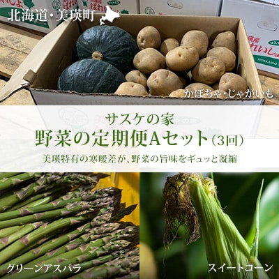 野菜 定期便 ≪令和8年産予約受付!≫サスケの家　野菜の定期便A (3回便)[048-20]